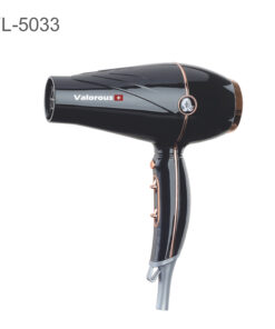 Valorous Digital Salon Hair Dryer Model VL-5033